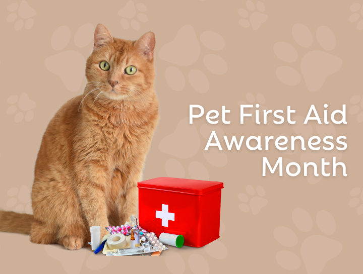 Pet First Aid Awareness