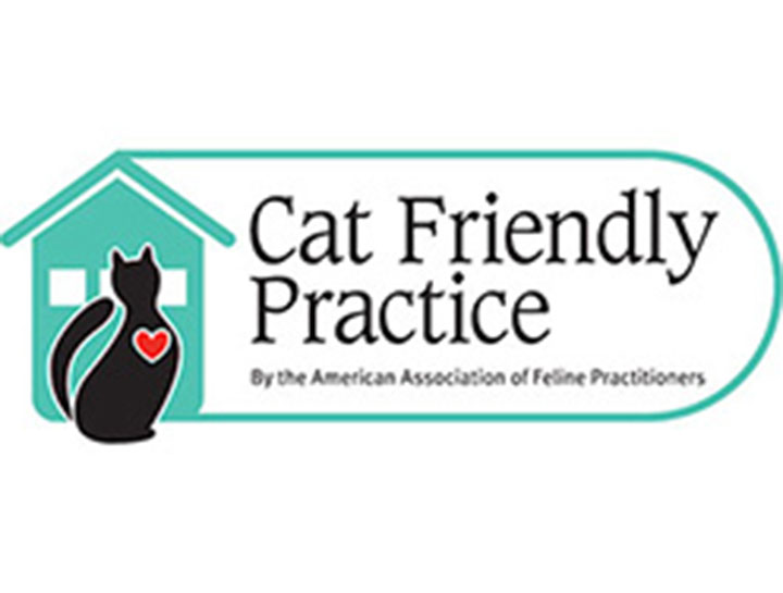 We are an AAFP Cat Friendly Certified Practice!