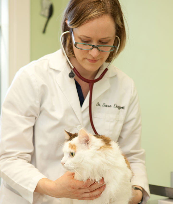 Sara Doggett DVM